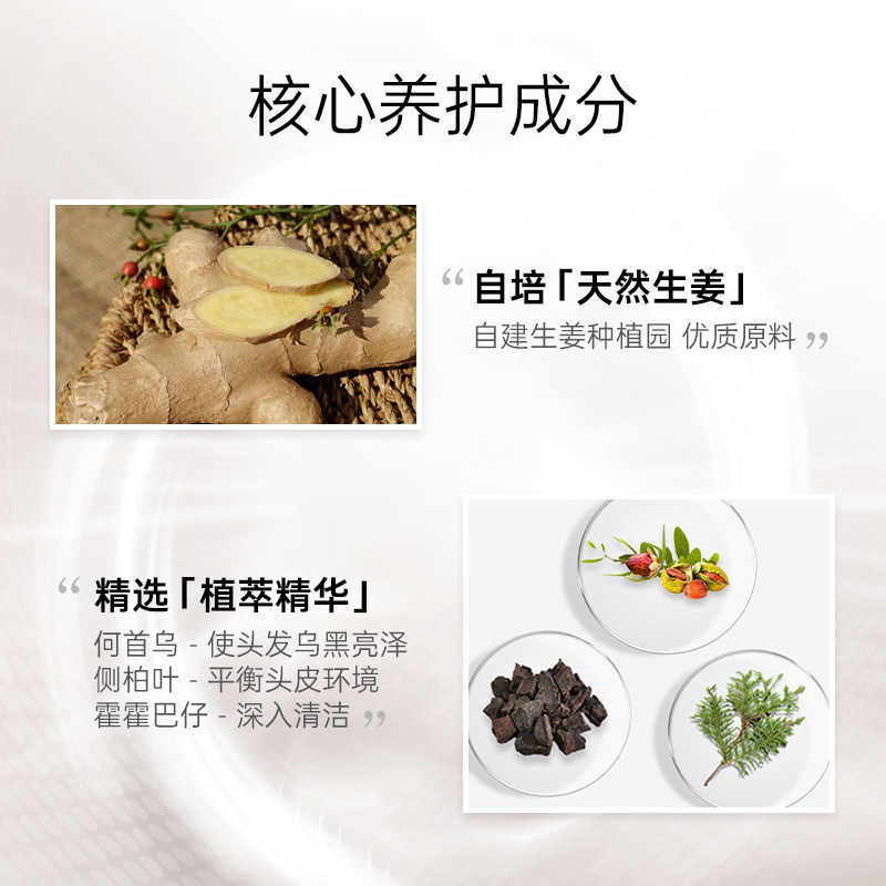 卓蓝雅生姜防脱发男女控油洗头膏 卓蓝雅洗发水