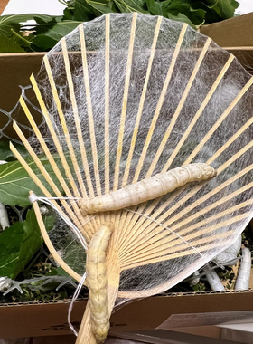 幼儿园编织扇蚕丝扇diy材料包手工骨架儿童自制圆形团扇框架装饰