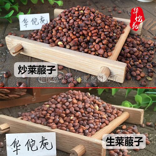中药材炒莱菔子500g生莱菔子粉莱菔子白萝卜籽莱菔子三子养亲汤 - 图2