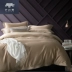 Ischman 60 bông dài chủ yếu cotton màu bốn mảnh cotton satin chăn tấm trải giường khách sạn - Bộ đồ giường bốn mảnh