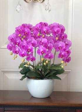 客厅兰花带花瓶手感花朵仿真花