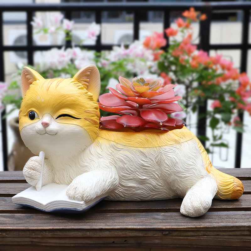 猫多肉植物 新人首单立减十元 21年7月 淘宝海外