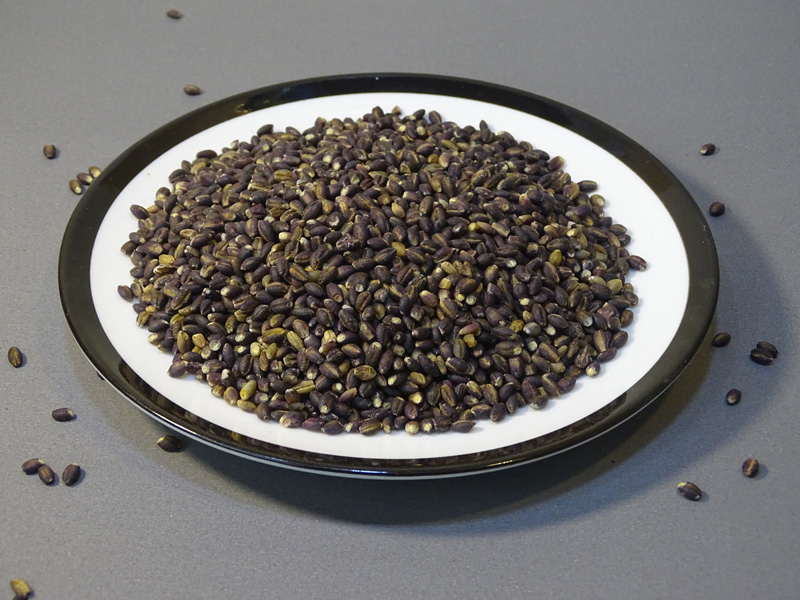 【黑青稞米500g】黑青稞米西藏高原特产青稞米仁煮粥打豆浆材料 - 图0