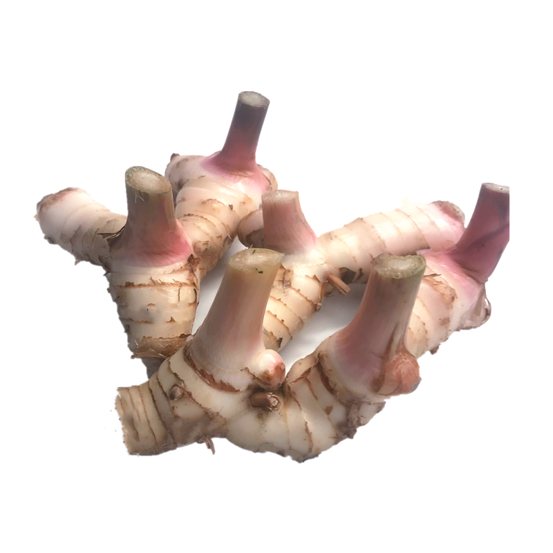 泰国冬阴功咖喱新鲜南姜良姜高良姜冬荫功汤原料白皮南姜泰国南姜,淘宝优惠券,粉丝福利购,淘宝优惠卷