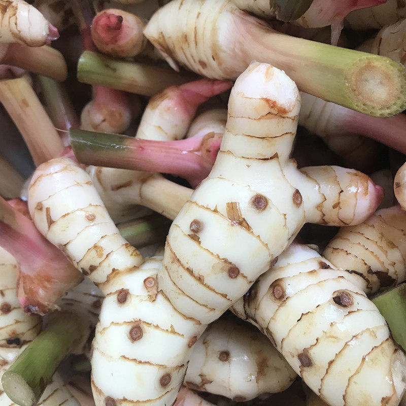 泰国冬阴功咖喱新鲜南姜良姜高良姜冬荫功汤原料白皮南姜泰国南姜,淘宝优惠券,粉丝福利购,淘宝优惠卷