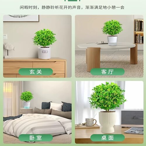 香水米兰花盆栽带花苞浓香型老桩四季室内名贵花卉绿植小树苗开 - 图3