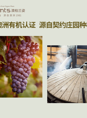 葡萄籽油100ml无添加基础油