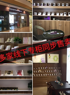 oplants保加利亚花水玫瑰纯露