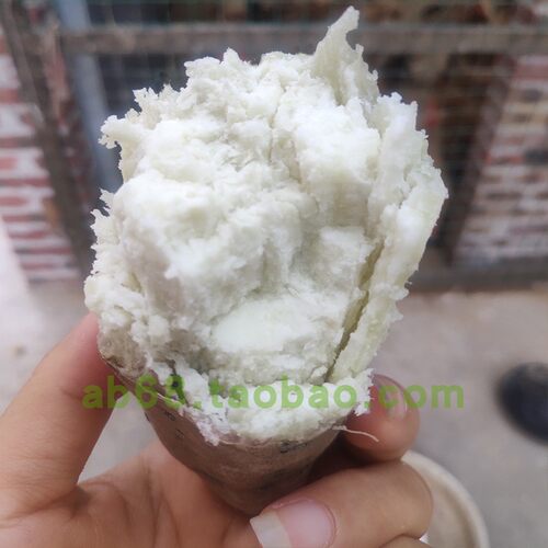 新鲜板栗红薯 高州爆皮王番薯白心面包王粉糯番薯白肉干面地瓜5斤 - 图2