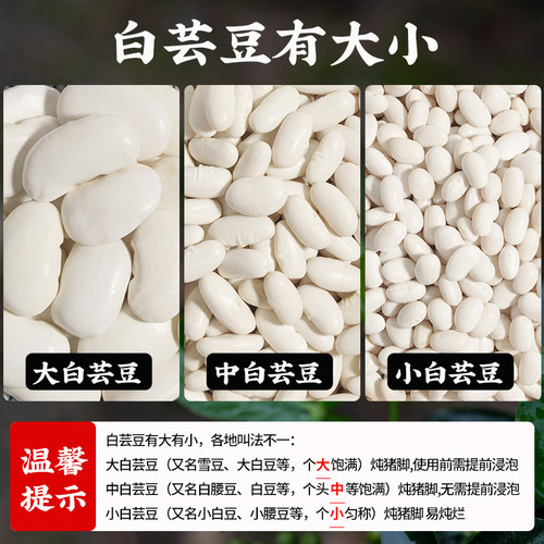 白芸豆干货新货大白豆批发扁豆云豆大豆正宗豆类大全雪豆四川杂粮 - 图2