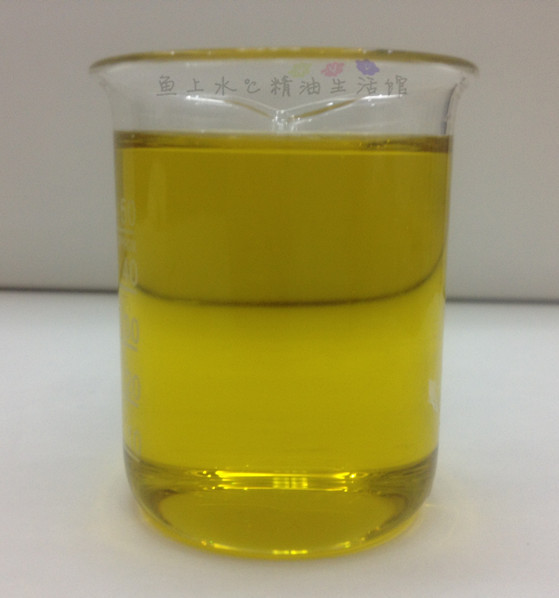 智利直採!玫瑰精油好搭檔 冷壓初榨橄欖油!基礎油 植物油100ml