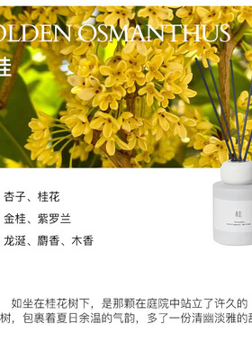 无火香薰精家居私人我是香氛室内持久淡香香氛家居摆件香薰