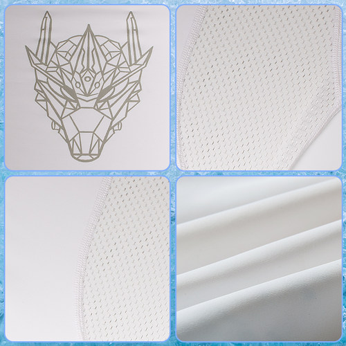 飞鱼未来男士泳衣套装时尚速干短袖五分裤水上乐园沙滩裤游泳装备 - 图3