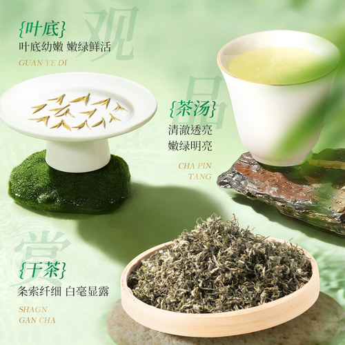 2026新茶苏州洞庭碧螺春茶叶绿茶春茶苏州东山茶厂明前一级200g - 图1