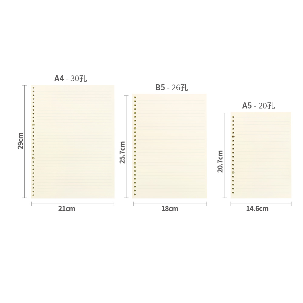 100张道林活页纸A4/30孔 B5/26孔 A5/20孔活页本可拆卸活页替芯空白方格本网格子英语活页笔记本本子内页芯纸-图1