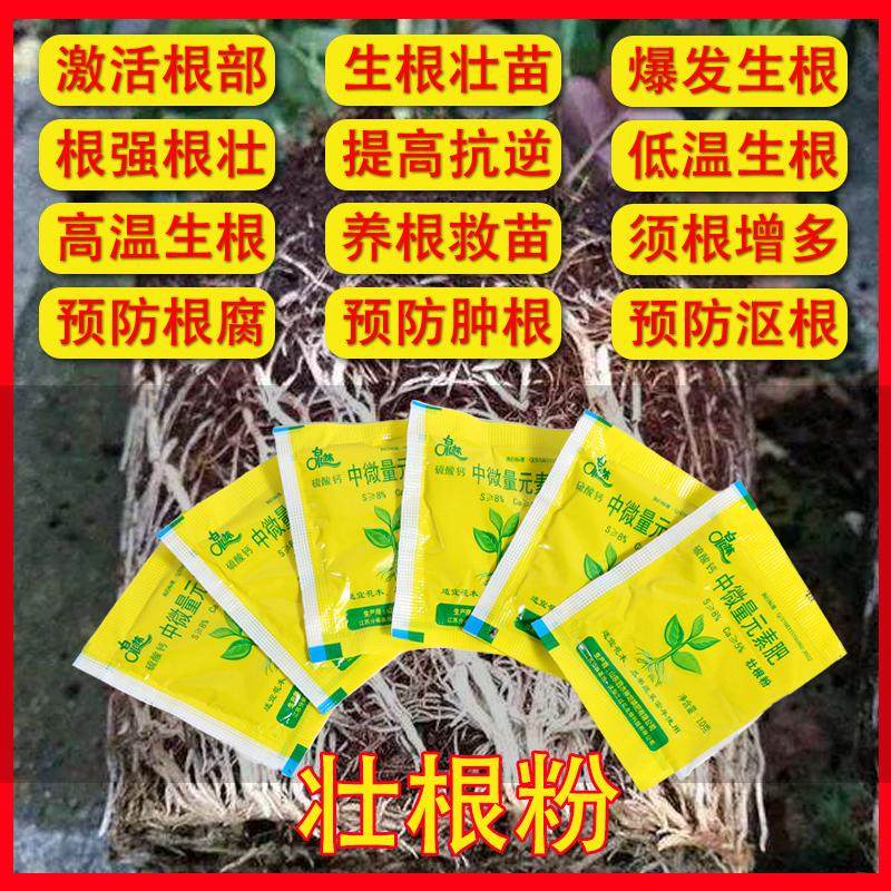 强力壮根肥植物通用型果树木移栽扦插壮苗剂绿植营养液养花卉肥料,淘宝优惠券,粉丝福利购,淘宝优惠卷