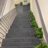 Stair carpet glue-free anti-slip step mat silent and wear-resistant