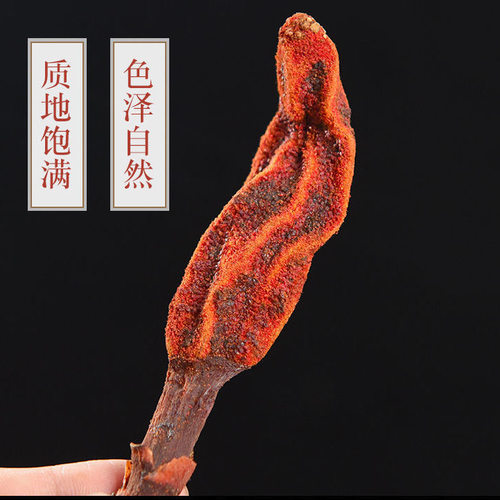 正宗回春草250克 正宗云南顶天柱男性滋补硬起草苁蓉泡酒配方煲汤 - 图1
