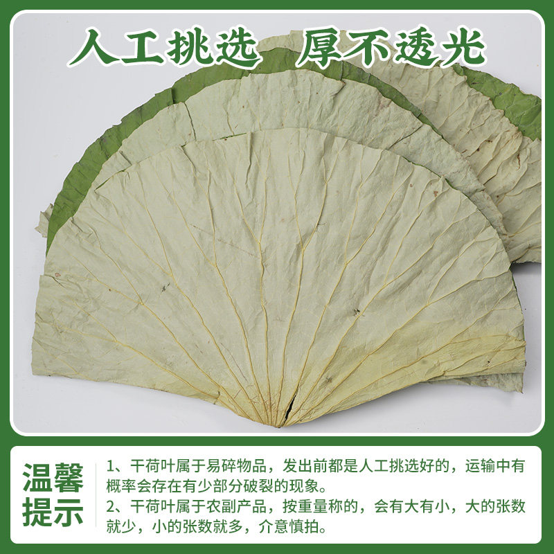 四川荷叶整张250g干荷叶叫花鸡糯米鸡木桶饭荷叶粥专用新鲜荷叶片