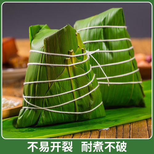 粽叶新鲜粽子叶100片包粽子专用大号粽叶干南方非现摘芦苇大粽叶 - 图2