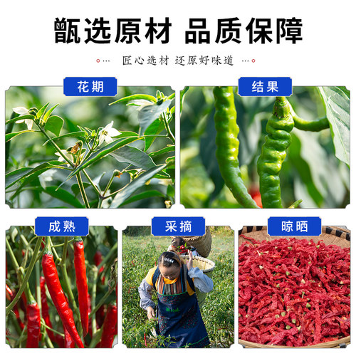 微辣特香四川皱椒二荆条干辣椒特产红油调料油泼辣子二斤条红辣椒 - 图1