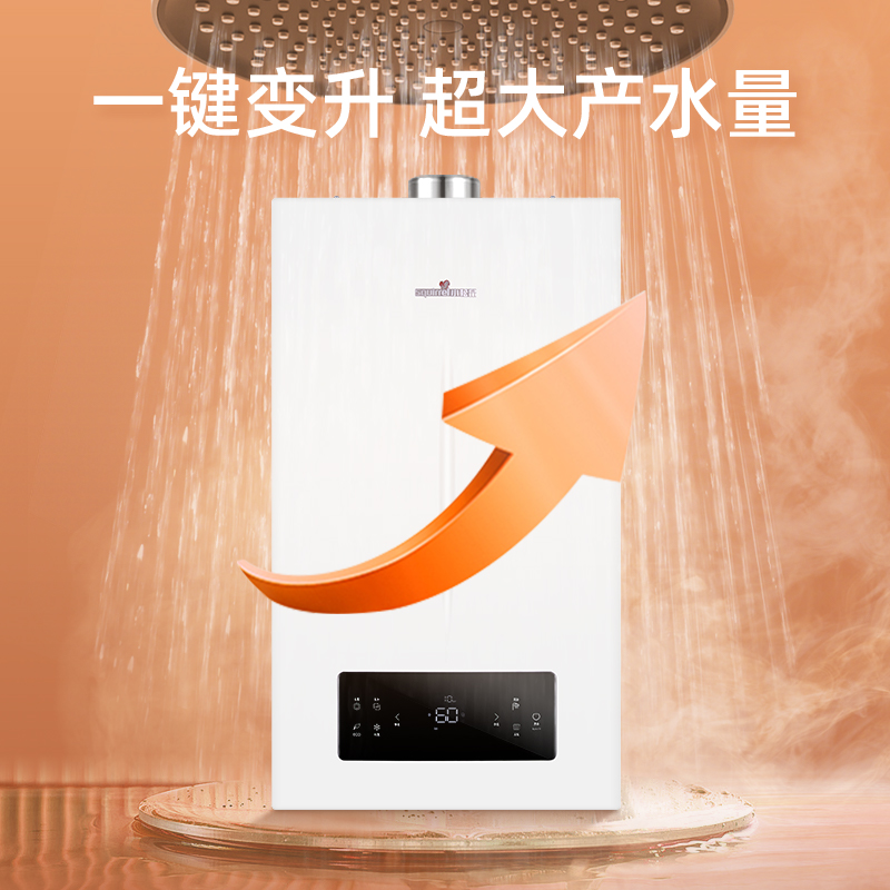 小松鼠燃气壁挂炉天然气家用暖气片采暖地暖锅炉洗浴两用恒温Q30D