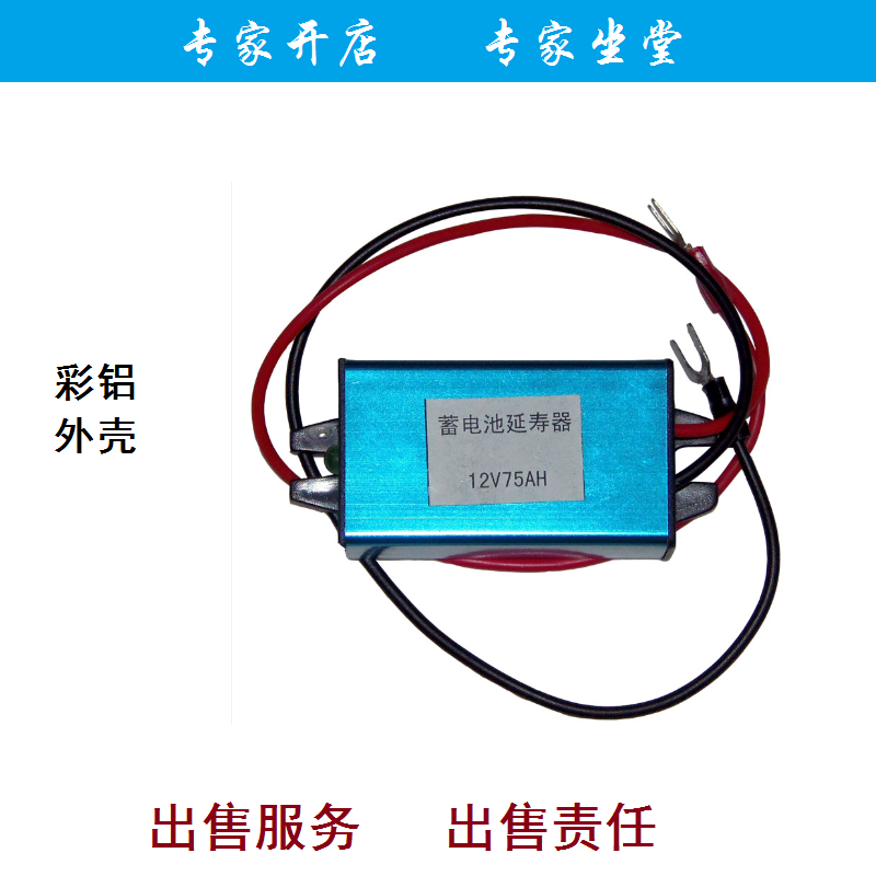 直销汽车蓄电池脉冲电瓶车修复器充电加液延寿12V38A45A75H100A - 图1