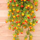 Facai Fruit Cane Wall Decoration Pendant Red Currant