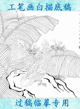工笔画白描底稿花鸟适合初学者