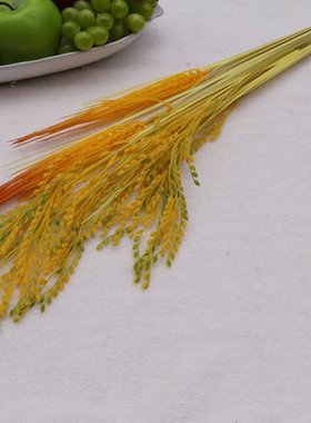 仿真粮食 食物稻谷小麦模型 五谷杂粮 超逼真浅黄色仿真食物