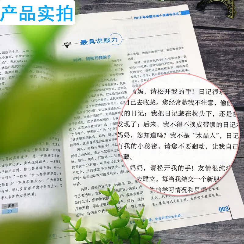 2019版 优++金榜题名2018年全国中考满分作文