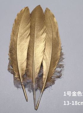 diy金色幼儿园耳环火鸡毛包邮