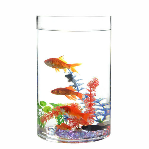 直筒圆柱形玻璃缸透明鱼缸金鱼缸圆形立式水族箱桌面客厅养鱼缸 - 图1