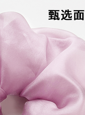 高级感显脸小大肠发圈