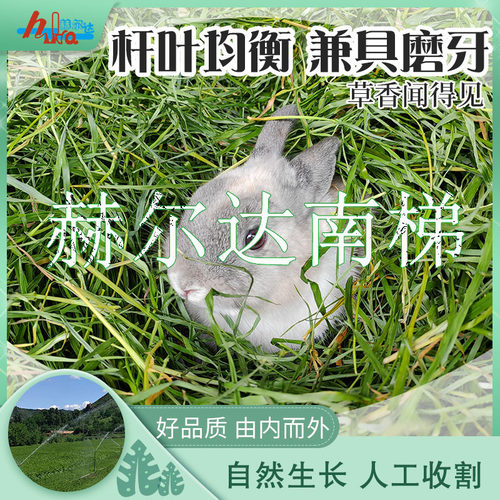 2026新烘干全叶南提提摩西干草包邮兔子龙猫荷兰猪饲料粮食包邮 - 图2