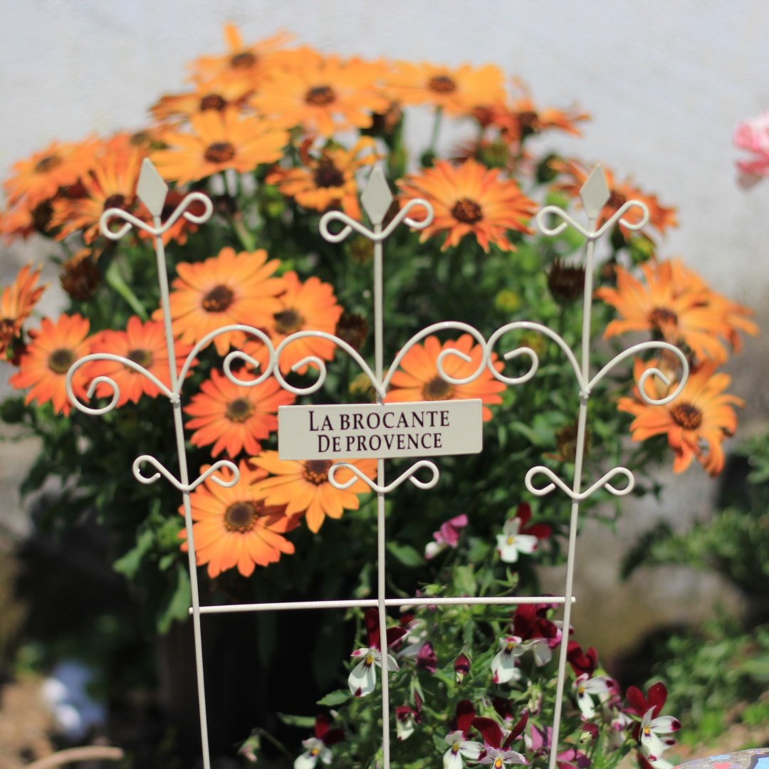 日式ins复古铁艺迷你花盆小装饰微景观造景绿植创意花园杂货栅栏,淘宝优惠券,粉丝福利购,淘宝优惠卷