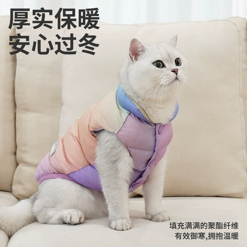 Удерживающий тепло демисезонный пуховик, жилет, осенний сезон, увеличенная толщина