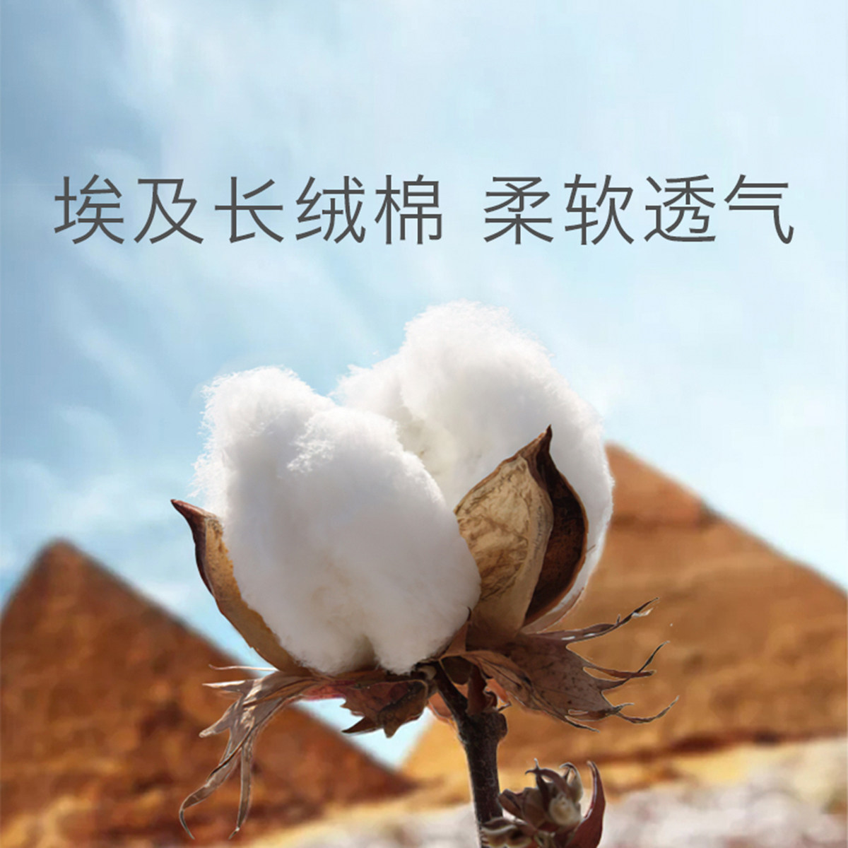 babycare多功能宝宝轻便四季背带 天誉尚品母婴背带/背袋