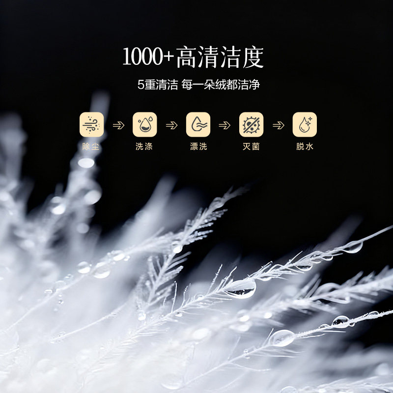 百丽丝羽绒被冬被鹅绒被95白鹅绒新年礼物羽绒被官方旗舰店正品,淘宝优惠券,粉丝福利购,淘宝优惠卷