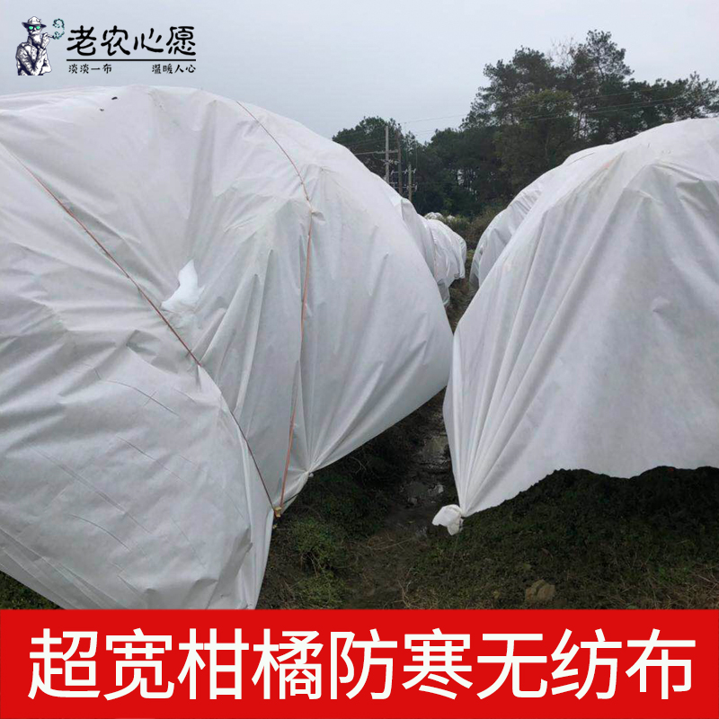 老农心愿蓝莓专用防寒布防雨水防霜冻透气透光保温防风防寒防冻布 - 图1