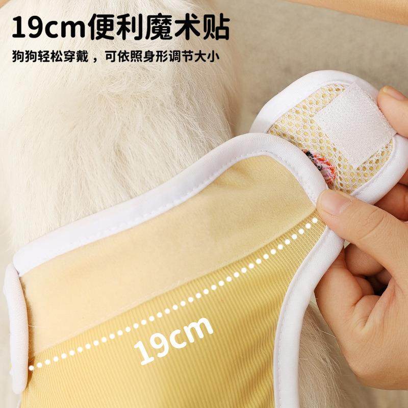 狗狗生理裤姨妈裤专用宠物经期防骚扰卫生巾安全裤月经裤,淘宝优惠券,粉丝福利购,淘宝优惠卷