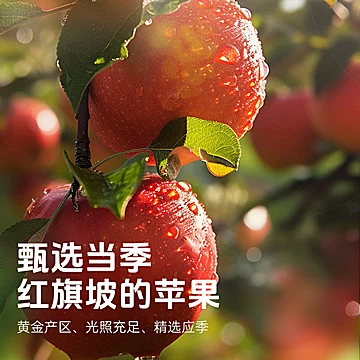 一品玉新疆特产厚切苹果干100g*5袋[23元优惠券]-寻折猪