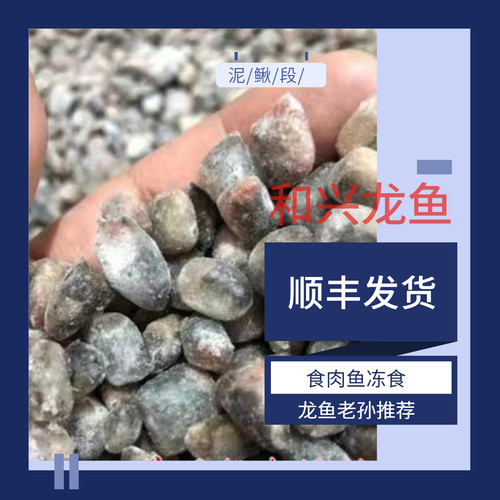 和兴速冻丁鱼泥鳅段虾段罗汉地图肉食性鱼类冻食6斤每周246发货 - 图0