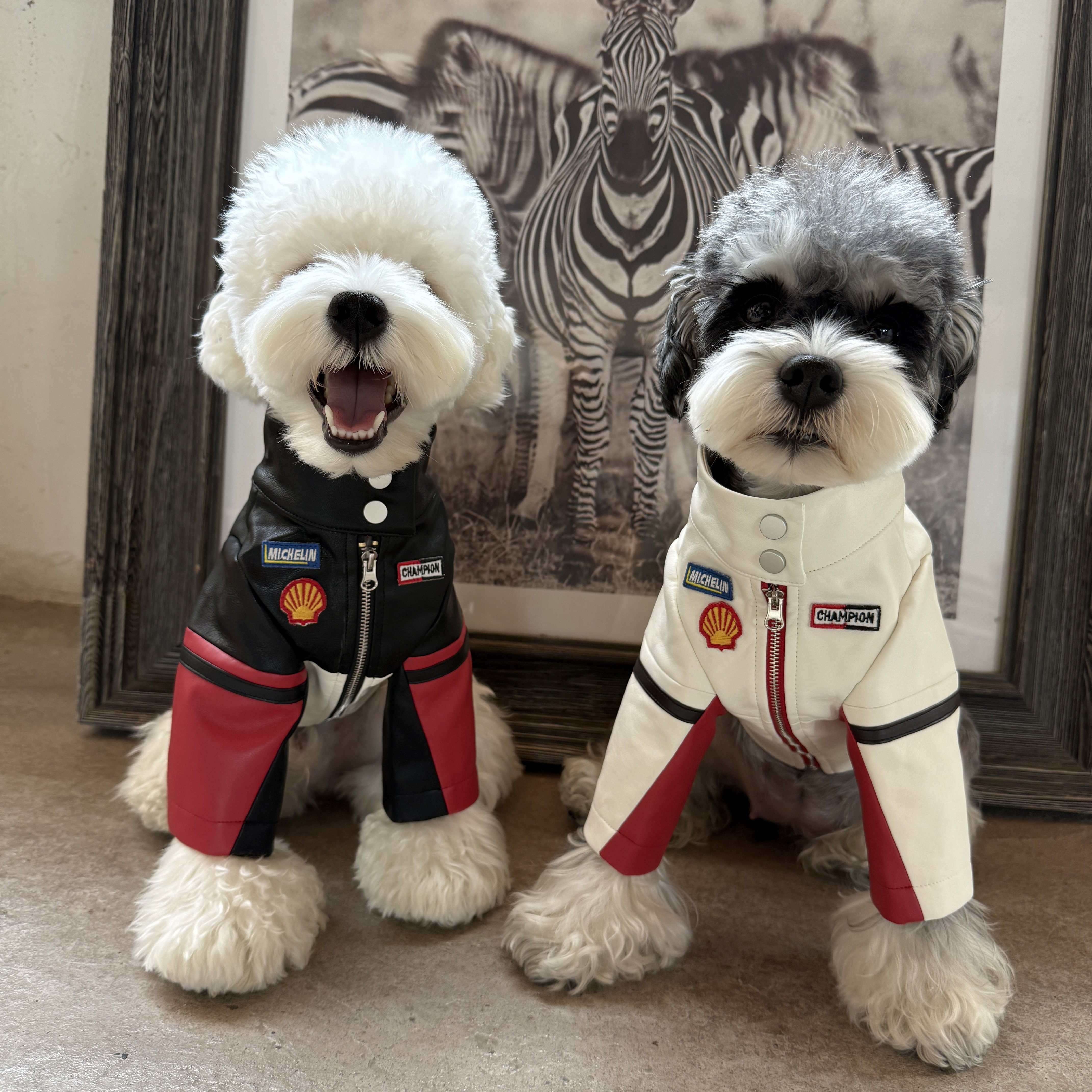 狗狗衣服秋冬保暖雪纳瑞比熊泰迪柴犬西高地宠物外套赛车服,淘宝优惠券,粉丝福利购,淘宝优惠卷