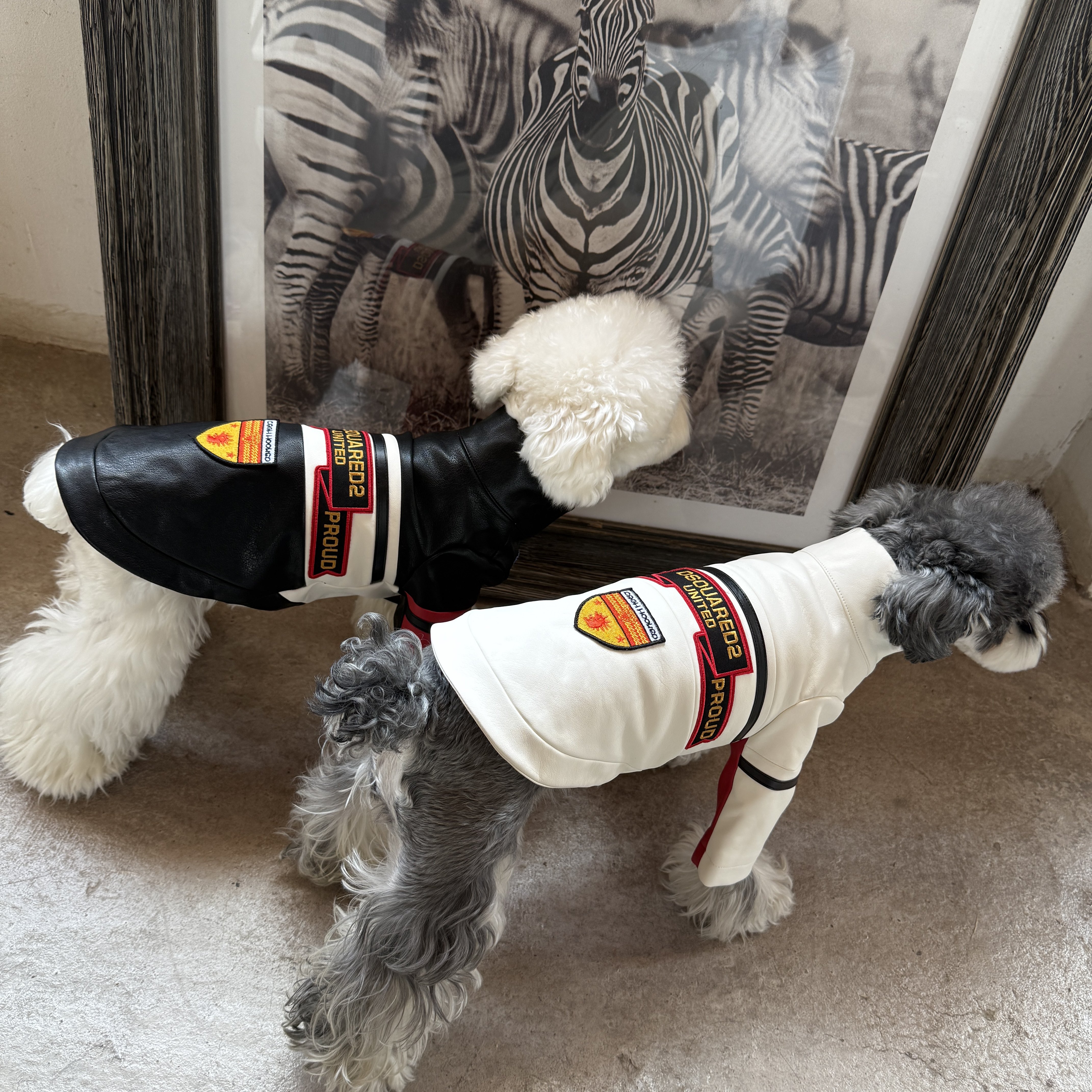 狗狗衣服秋冬保暖雪纳瑞比熊泰迪柴犬西高地宠物外套赛车服,淘宝优惠券,粉丝福利购,淘宝优惠卷