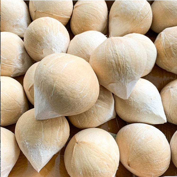 新鲜椰皇6个装无拉环香水椰王新鲜奶香老椰妃新鲜椰汁果顺丰包邮