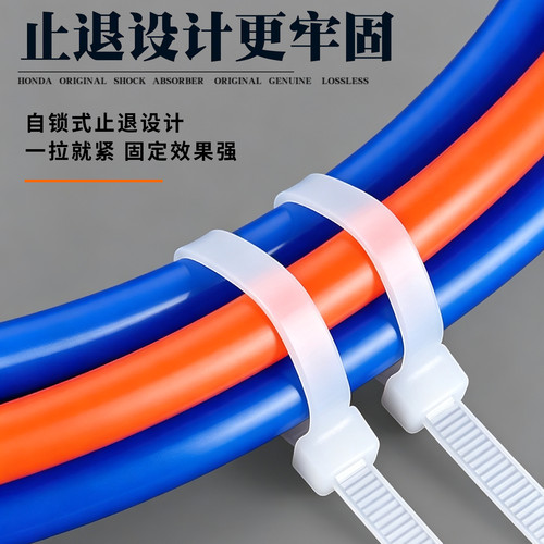 火炬塑料自锁式尼龙扎带3*100/4*200/5*300/8*300束线带捆绑带 - 图1