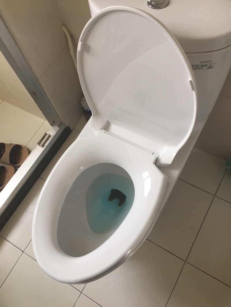 Toto马桶盖板tc394cvk Cw866cw854cw864cw9bcw874坐便器缓降盖 杭州闽骏卫浴配件 淘优券