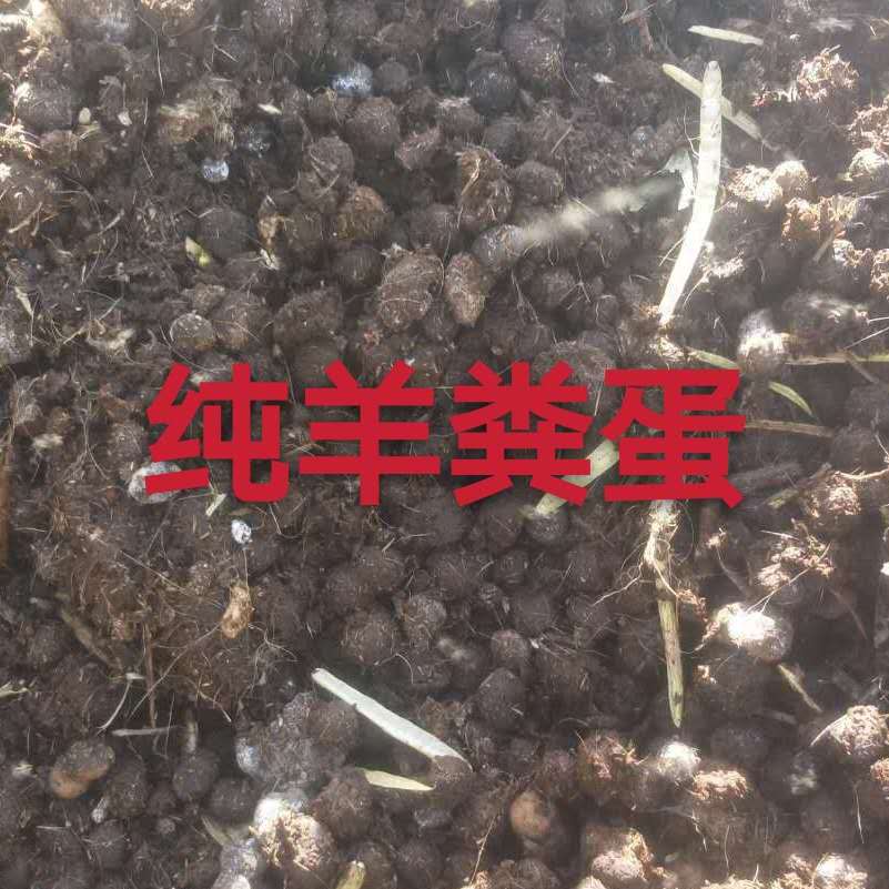 1包邮纯羊粪蛋沼肥新型蔬菜花卉绿植果树纯牛粪有机肥料纯鸡粪肥 - 图0