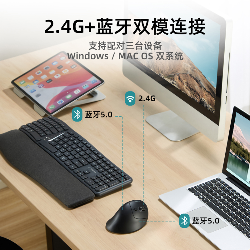 Sanye SANWA Ergonomic Wireless Bluetooth Mouse